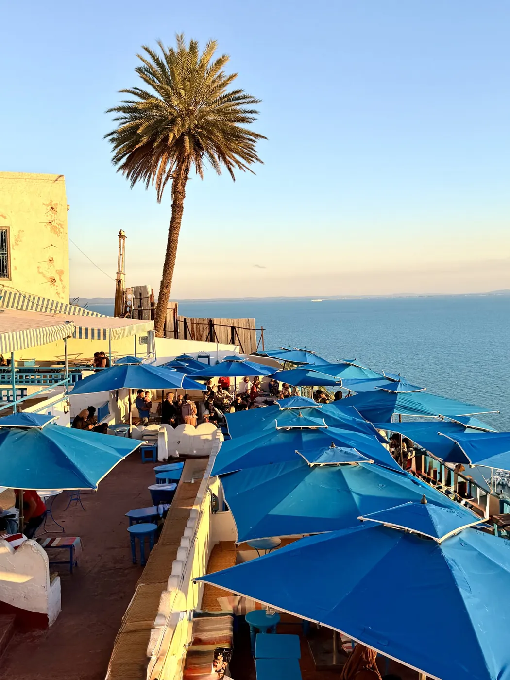A café terrace with blue umbrellas and a palm tree above the sea in Sidi Bou Said