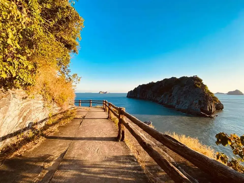 A wooden coast path leading toward a rock island in the sea