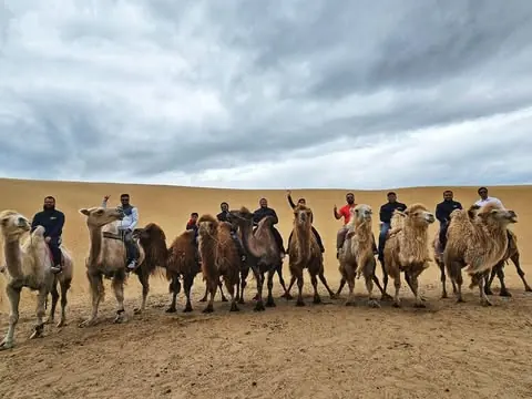 The JCI Dhaka Founders team riding a line of camels at Elsen Tasarkhai, the Mini Gobi