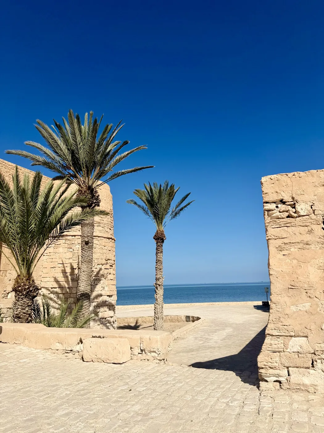 Palm trees and old stone walls opening onto the sea in Djerba